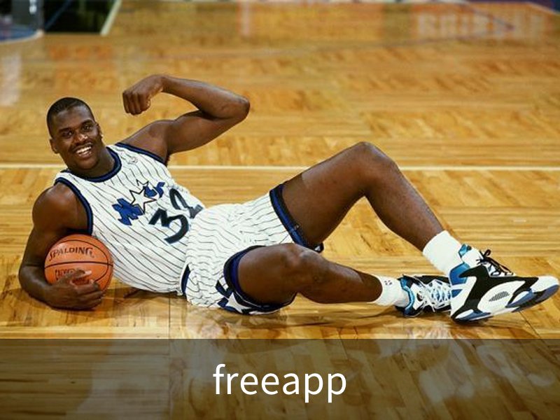 freeapp - 安全登录入口